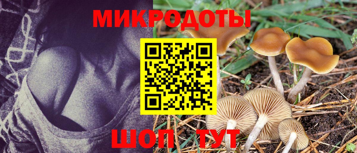 Альфа ПВП Донецк