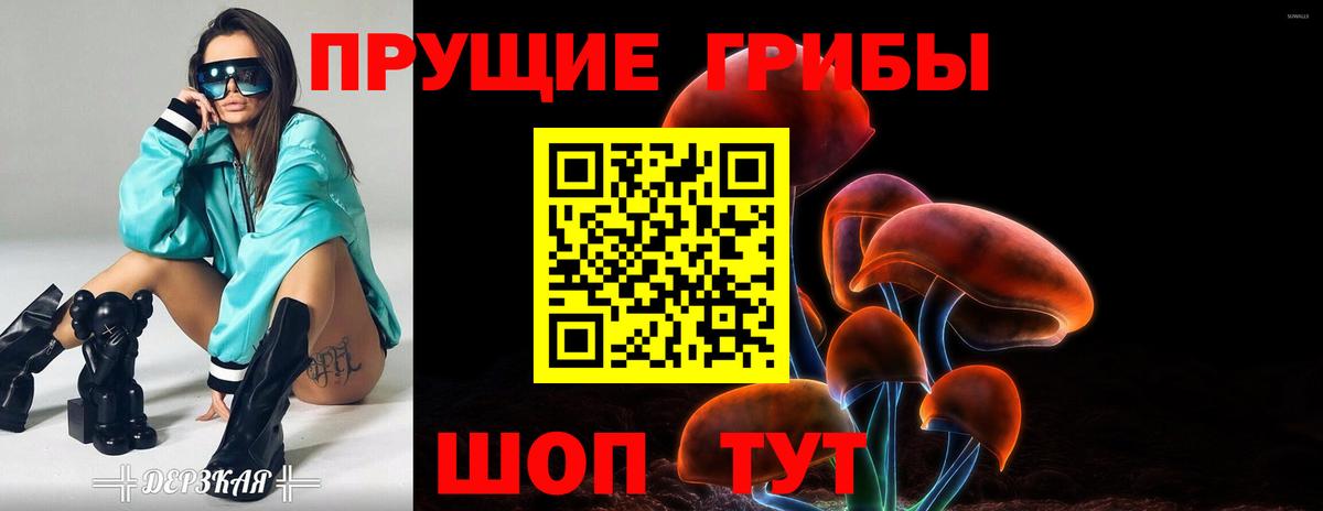 Псилоцибиновые грибы Cubensis Донецк